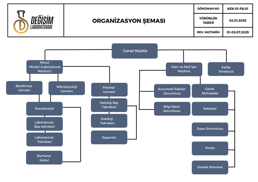 Our Organization Chart